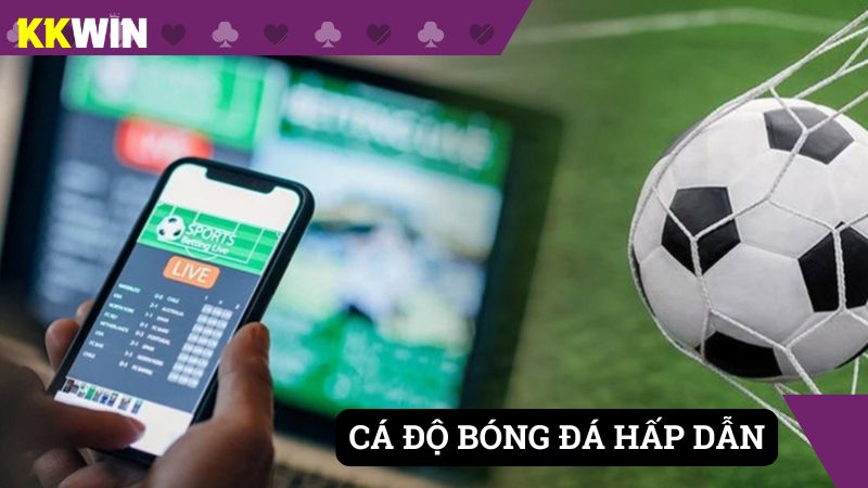 Cá độ bóng đá với tỷ lệ kèo thưởng cực cao