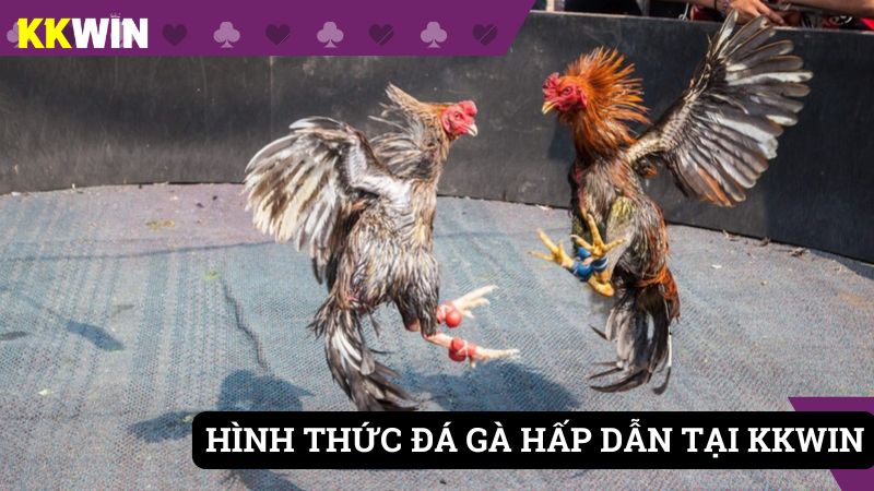 Hình thức chơi ăn khách số 1 tại KKWIN