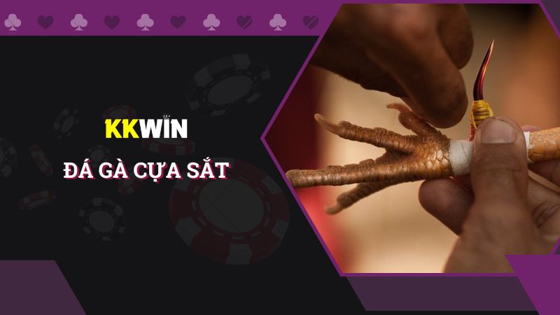 Loại hình đá gà cựa sắt và cách chơi từ A - Z