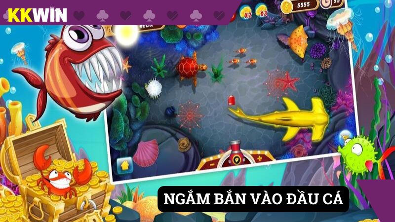 Ngắm bắn vào phần đầu cá