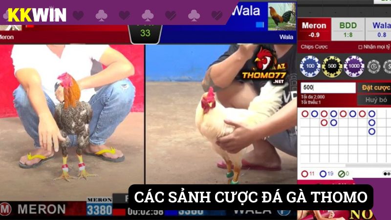 Đa dạng các sảnh chơi cho anh em cá cược