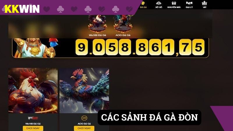 Các sảnh cược gà đòn tại nhà cái KK WIN