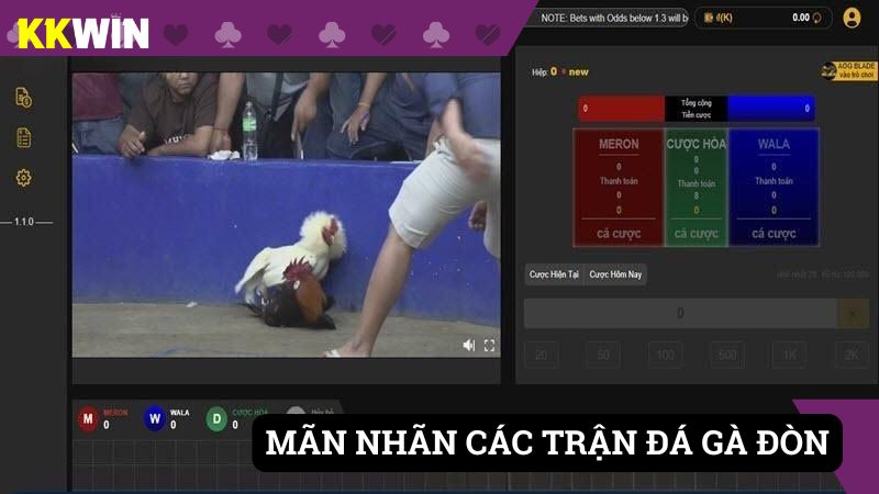 Mãn nhãn với các trận chiến gà đòn trực tiếp tại KKWIN