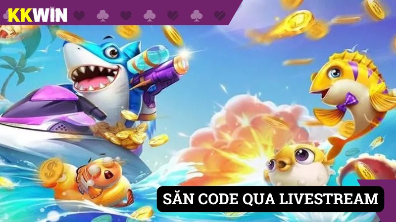 Chớp thời cơ lấy code qua livestream hệ thống