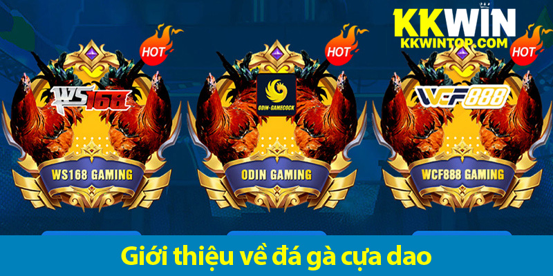 Kinh nghiệm cá độ đá gà cựa dao từ người chơi lâu năm