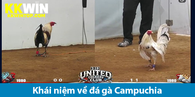 Các loại hình cược đá gà Campuchia và kinh nghiệm chơi từ cao thủ cá độ mạng